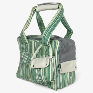 Cream and striped green designer dog carrier