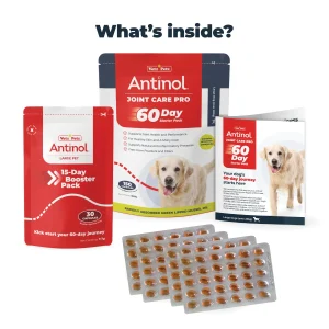 Joint Supplements for Large Dogs - Try Antinol® Risk-Free