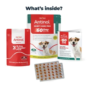 Joint Supplements for Small Dogs - Try Antinol® Risk-Free